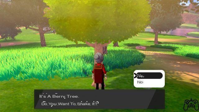 Cómo cultivar bayas en Pokémon Sword and Shield