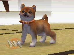 The complete solution from Nintendogs