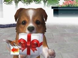 The complete solution from Nintendogs