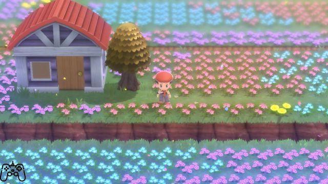 How long is it before Pokémon arrive at Honey Trees in Pokémon Brilliant Diamond and Brilliant Pearl?