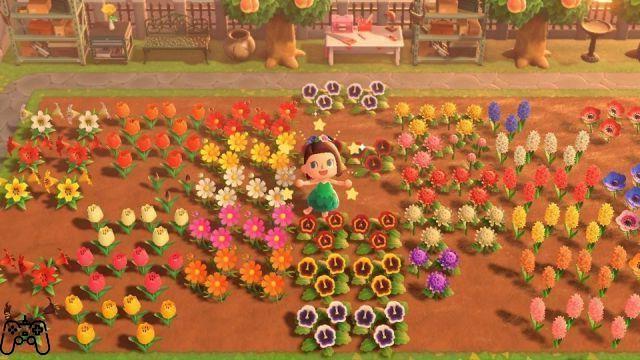 Animal Crossing New Horizons: Cómo hacer flores híbridas - Todas las combinaciones