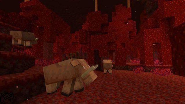 What should I do in Minecraft survival mode?