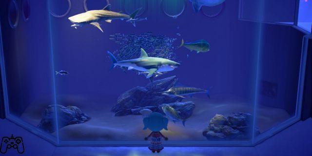 Animal Crossing New Horizons: How to unlock the Museum