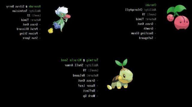 How to beat Gardenia in Pokémon Brilliant Diamond and Brilliant Pearl